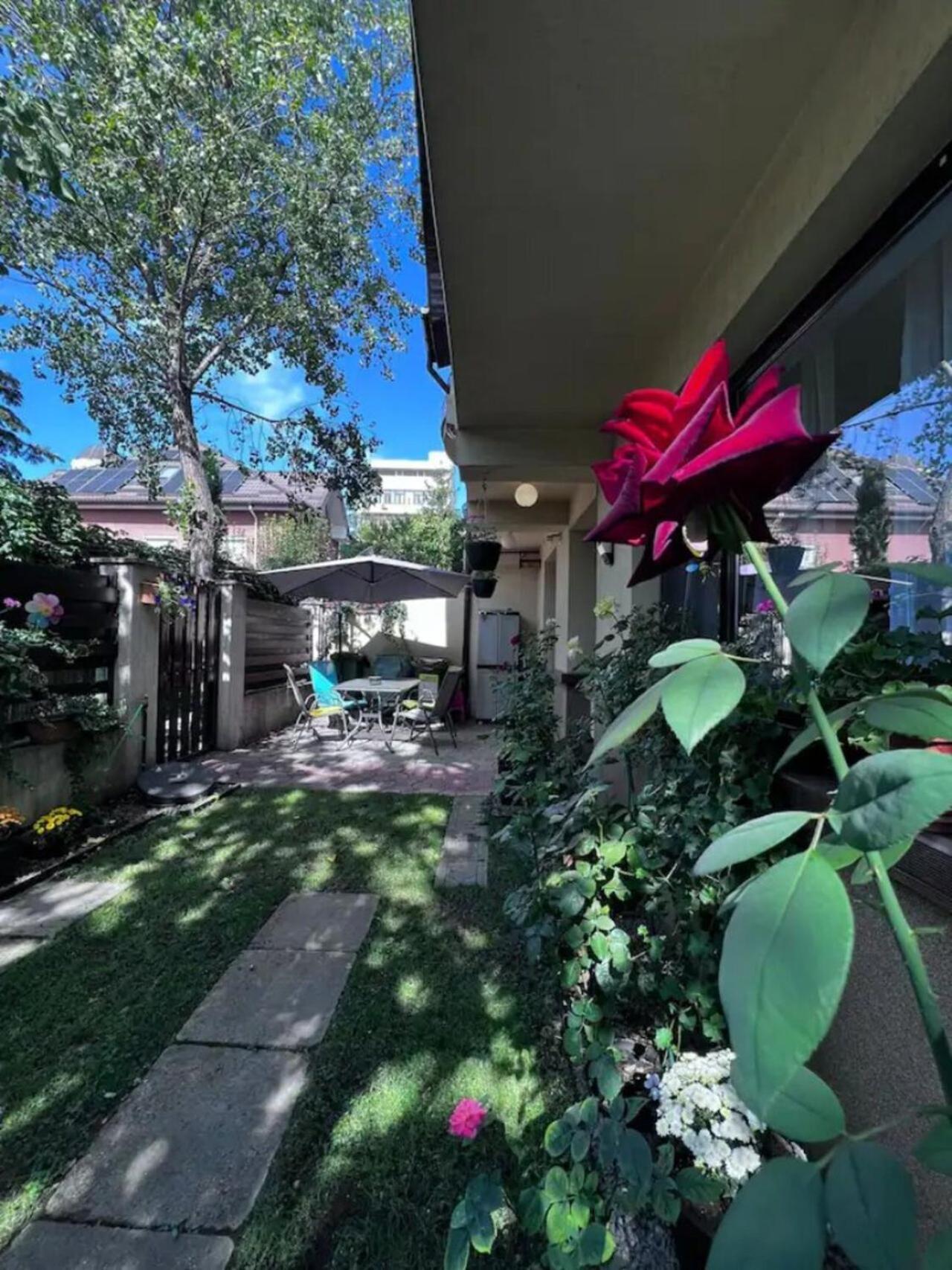 Vila Luminoasa Cu Curte Privata Bucareste Exterior foto